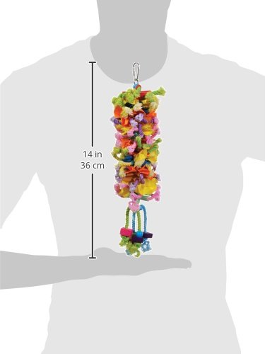 Prevue Pet Products 62606 Calypso Creations Club Bird Toy