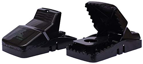 4 Kat+Sense+Effective+Anti+Rodent+Infestation