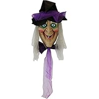 Haunted Hill Farm 4.2 ft. Animatronic Witch Head Halloween | Indoor/Outdoor Halloween Decoration | Battery-Operated | Touch Activated with 3 Greetings | HHDHWITCH-1LS,Multicolor Haunted Hill Farm 4.2 ft. Animatronic Witch Head Halloween | Indoor/Outdoor Halloween Decoration | Battery-Operated | Touch Activated with 3 Greetings | HHDHWITCH-1LS,Multicolor