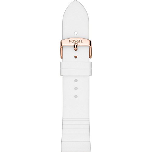 Fossil 20mm Watch Band Store, 54% OFF 