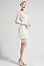 BABEYOND 1920s Flapper Dress Roaring 20s Great Gatsby Costume Dress Fringed Embellished Dress (Medium)