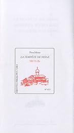 La  tempête de neige