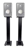Pair 36