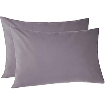 Pinzon 170 Gram Flannel Cotton Pillowcases, Set of 2, Standard, Graphite Grey