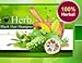 2 x 20g. BSY NONI BLACK HAIR COLOR Organic Natural Hair Dye (Black) Covers Grey Hairs (No PPD para-phenylenediamin...