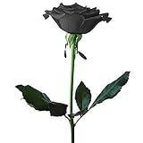 100 PCS Black Rose Seeds Rare Amazingly Beautiful Black Rose Flower
