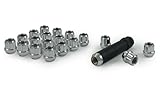 Gorilla Automotive 20023SD Acorn Open End Chrome Small Diameter Lugs (12mm x 1.25 Thread Size) - Pack of 20
