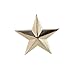 3D 5 Point Gold Star Lapel Pin