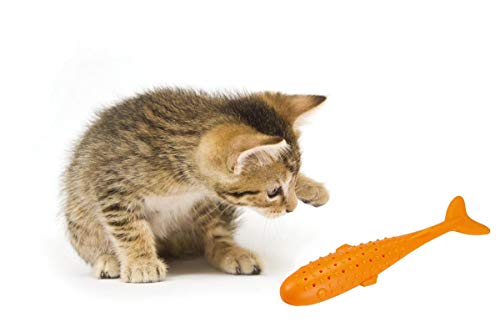 Catnip Toys Interactive Cat Fish Shape Toothbrush Refillable Catnip Bite Resistant Simulated Fish Silicone Teeth Cleaning Chew Pet Supplies for Kitten Kitty Cats Clean in The Dishwasher Blue & Orange