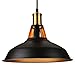 LEONLITE Industrial Metal Pendant Light, Edison Vintage Style Hanging Barn Lampshade, Metallic Interiorn, Matte Black, ETL Listed, E26 Base, for Kitchen, Pool Table, Dining Room