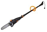 WEN 4021 8-Inch 6.5A Electric Telescoping Pole Saw w/ 13.5-Foot Reach, 8"/6.5 Amp