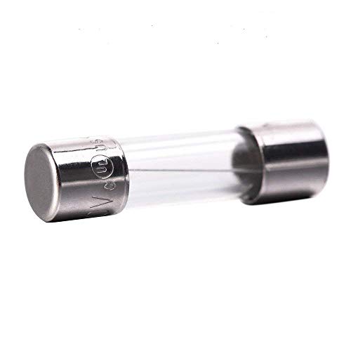 2 F10AL+Fast+Blow+Glass+Fuses+FENGWANGLI