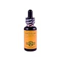 Herb Pharm Cat's Claw Liquid Herbal Extract - 1 fl oz