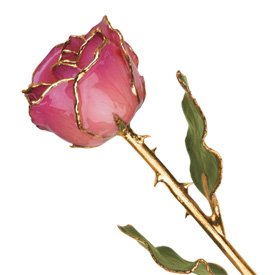 Long Stem Dipped 24K Gold Trim Pink Picasso Genuine Rose In Gift Box