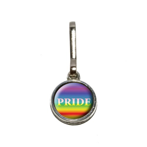 Graphics and More Rainbow Spectrum Pride - Gay Lesbian Antiqued Charm Clothes Purse Luggage Backpack Zipper Pull