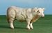 Little Buster Toys 1/16th Charolais Cow