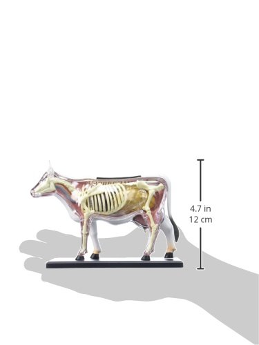 Tedco 4D Vision Cow Model