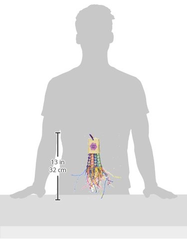 Super Bird Creations Pocket Rocket Toy for Birds