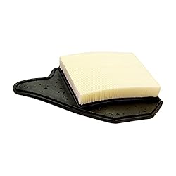 EcoGard XA6165 Premium Engine Air Filter Fits Dodge