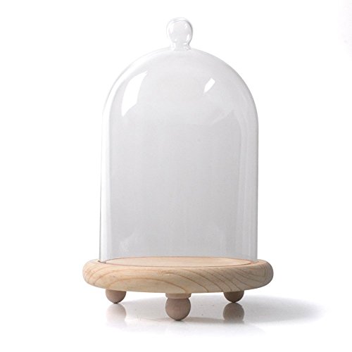 Reelva Decorative Clear Glass Cloche Bell Jar Display Case (Small) - Thumbnail 6