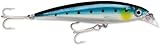 Rapala Saltwater X-Rap (Blue Sardine)