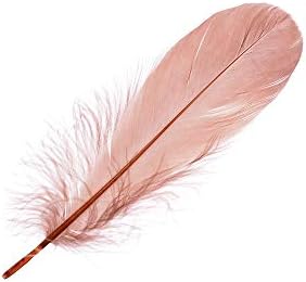 Wanjin Natural Soft Goose Feathers 5-7 inches 13-18cm Clothing Accessories Pack of 100 (Brown)