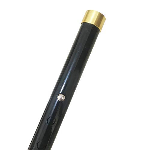 Posture Cane - Adjustable Anti Shock Hiking Walking - Trekking Poles | Mobility Device, Portable, Lightweight, Adjustable, Self-Standing, Folding, Collapsible Hand Walking Stick, 10 Height Adjustment