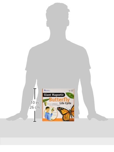 Learning Resources Butterfly Life Cycle