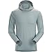 Arc'teryx Phasic Sun Hooded Shirt - Men's