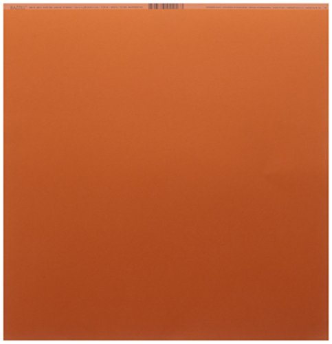 Bazzill Cardstock 12