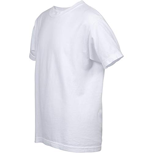 comfort colors t shirt pack