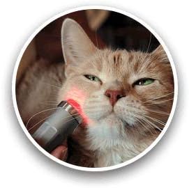 playhair Red Led Light Therapy Device -Cat, Dog, Horse. Pain Relief Hip, Joint, Mobility.and Inflammation Relief Advanced Pain Relief