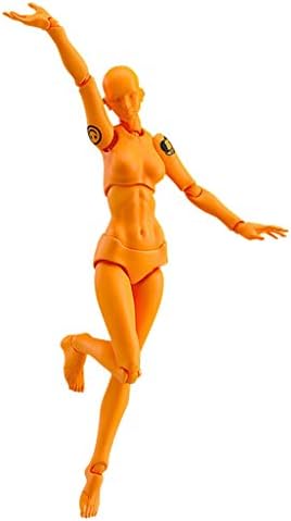 TianranRT Drawing Figures for Artists Action Figure Model Human Mannequin Man Woman Kits (F)