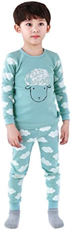 Ppippilong Kids Girl Boy Sister Brother Matching 100 percent Cotton 2 Piece Pajamas Sleepwear and Easy Wear Clothes T Shirt Pants Set (Sizes 2-8),Blue and White