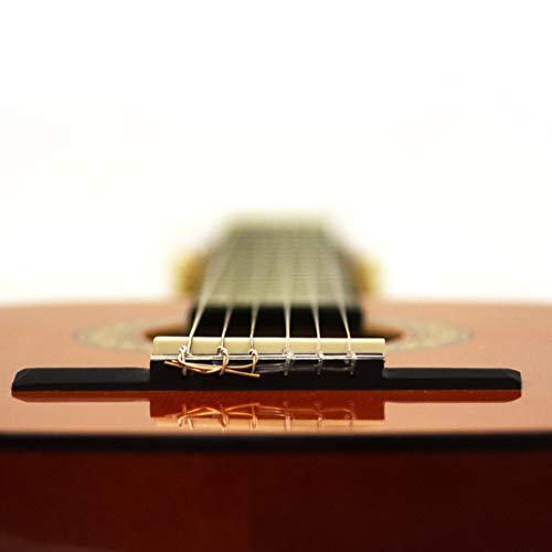 5 ADM+Classical+Student+Starter+Beginner