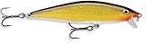 Rapala Flat Rap 10 Fishing lure, 4-Inch, Gold
