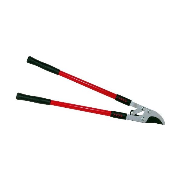 Connex Astschere 75 cm, doppelte Hebelübersetzung / Baumschere / Gartenschere / FLOR70435
