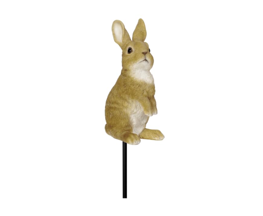 Vivid Arts - Lookout Rabbit Plant Pal - PLP-127