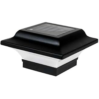 plants that prevent wasps