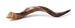 Yemenite Kudu Horn Shofar Shofars with Free Anti