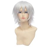 Ecvtop Men's 30cm Silver White Short Sakata Gintoki Cosplay Party Wig