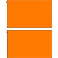 Ant Enterprises (2 Pack lot) 2x3 Orange Solid Plain Blank Color Flag 2