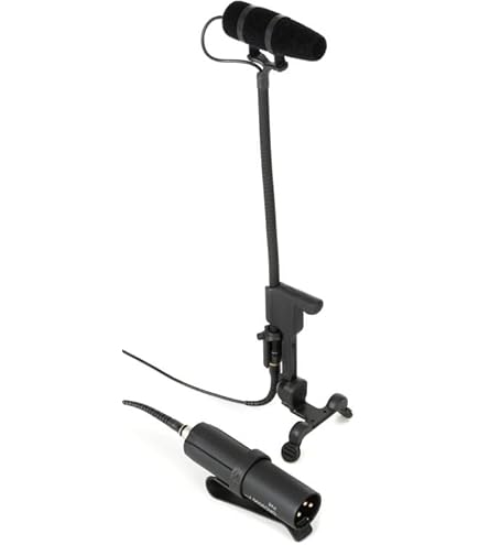 Amazon.com: DPA 4099 CORE Instrument Microphone with Universal