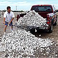 Loadhandler 3000 Commercial Grade Full-size Pickup Truck Unloader - Thumbnail 2