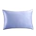 OOSILK Mulberry Silk Pillowcase with Hidden Zipper, Cotton Underside,Queen(20in x 30in),Light Blue,1pc