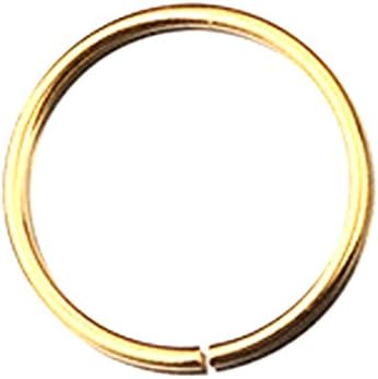 Quistal Surgical Steel Nose Ring Nose Hoop Cartilage Tragus Helix Lip Ear Piercing Ring