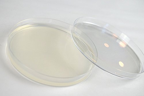 Malt Extract Agar (MEA), (10-Pack), Pre-Poured, Flat-Packed, Vacuum