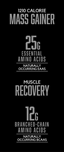 2 BSN+TRUE+MASS+Weight+Protein+Vanilla