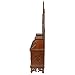 Design Toscano BN1937 Glass Wall Mounted Storage Curio Cabinet, Walnut