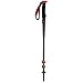 Black Diamond Trail Pro Shock Trekking Poles